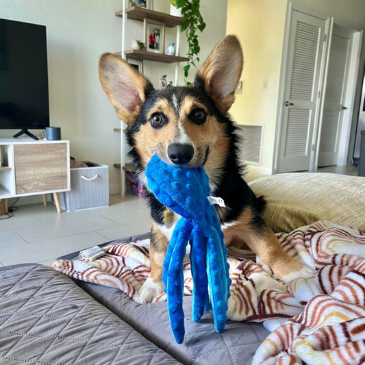 Giocattolo a forma di polpo resistente alla masticazione