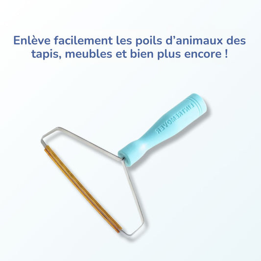 Rimuovi peli di animali